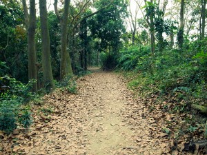 百年胭脂古道（新化國家植物園）