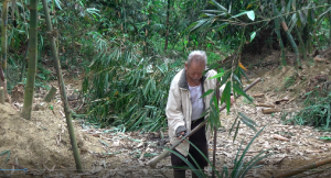 可愛的和元叔與竹筍園